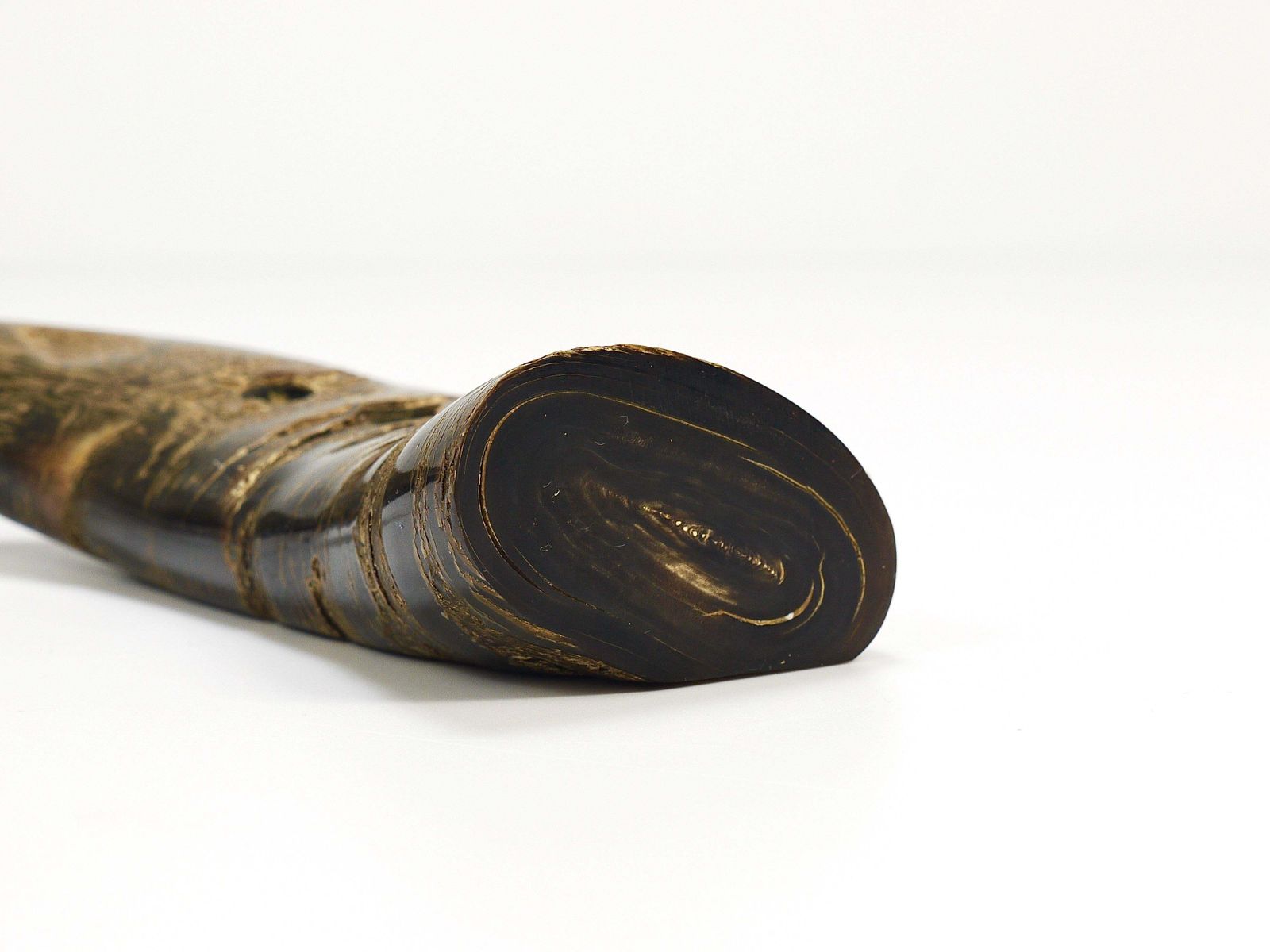 photo buy Carl Aubock Mid Century Horn Desk Pen Holder, Vienna, Austria, 1960s