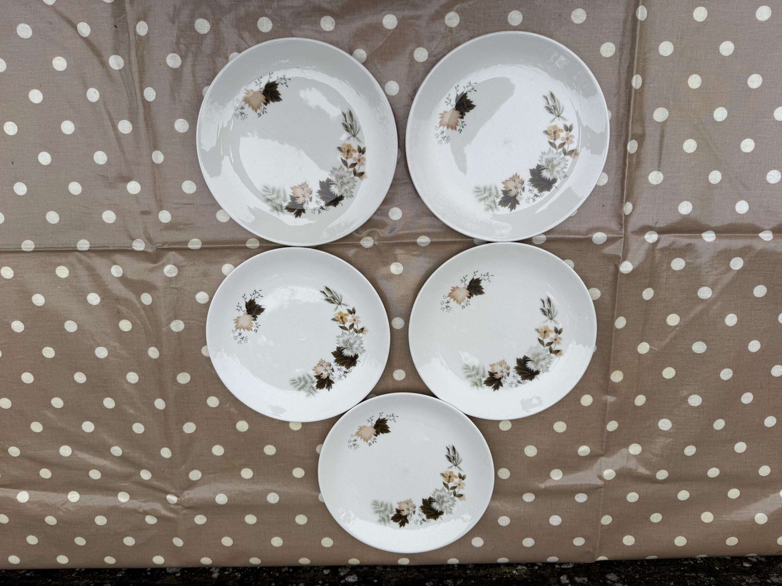19 Piece Vintage Royal Doulton ‘Westwood’ Bone China   Part Dinner Service   Autumn Leaves photo vintage