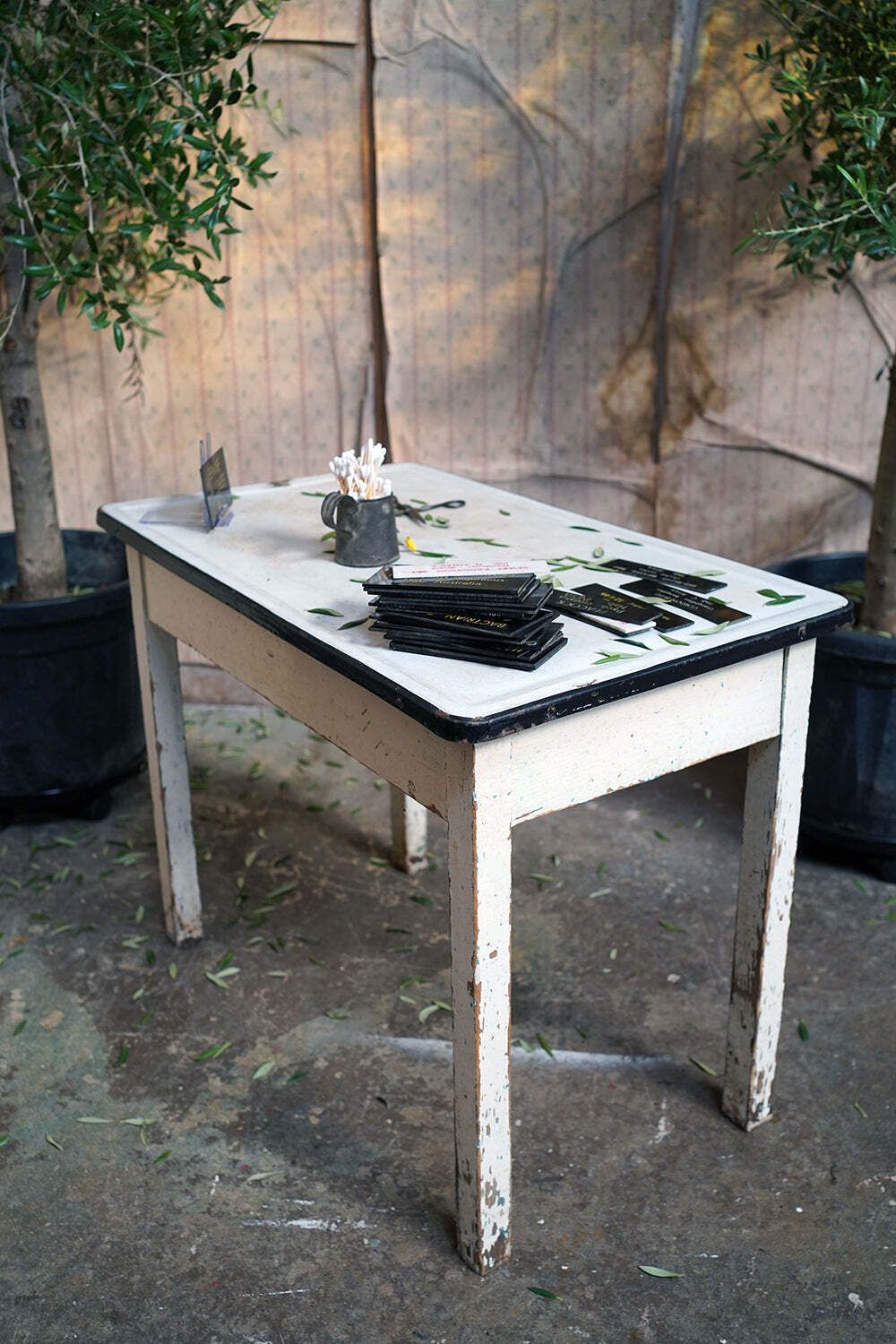 photo vintage Bristol Zoological Gardens: An Early/Mid 20thc Painted Pine & Enamel Topped Veterinarian Table C.1940