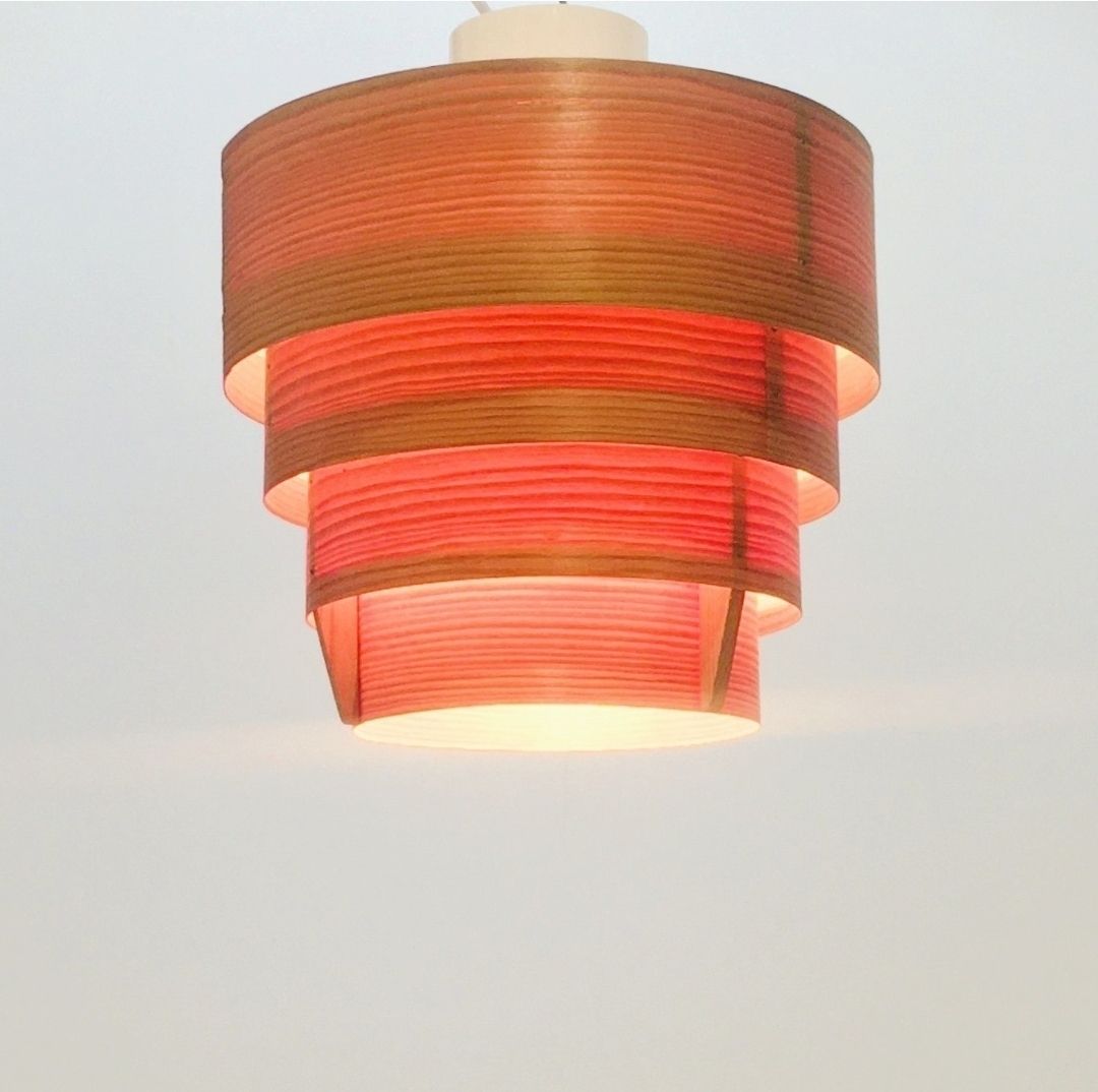 Mid Century Scandinavische Plafondlamp Model T 354 Van Hans Agne Jakobsson Voor Ellysett Markaryd, Zweden, Jaren 1960 photo 390.0