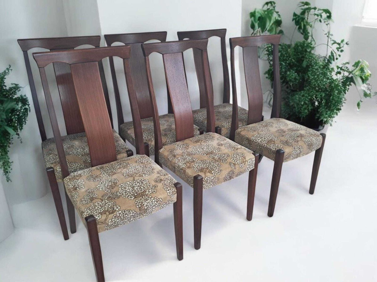 Vintage Mid Century Dining Chairs Danish Style Retro Skovby Style 1970 X 6 photo for sale
