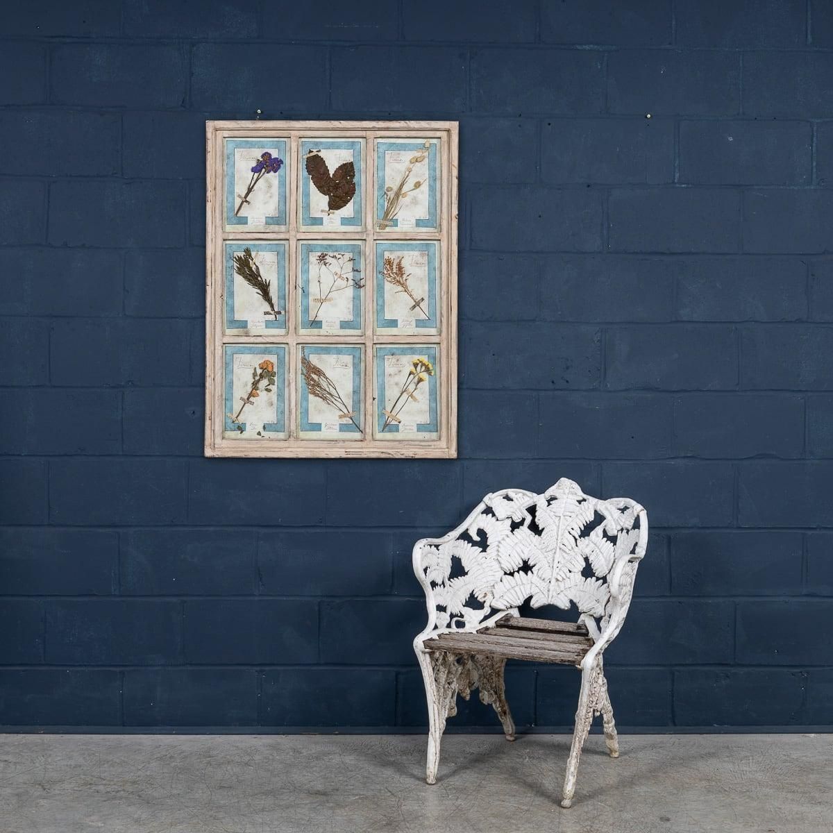 20th Century Italian Large Oak Frame Containing Pressed Flowers & Herbs photo furniture