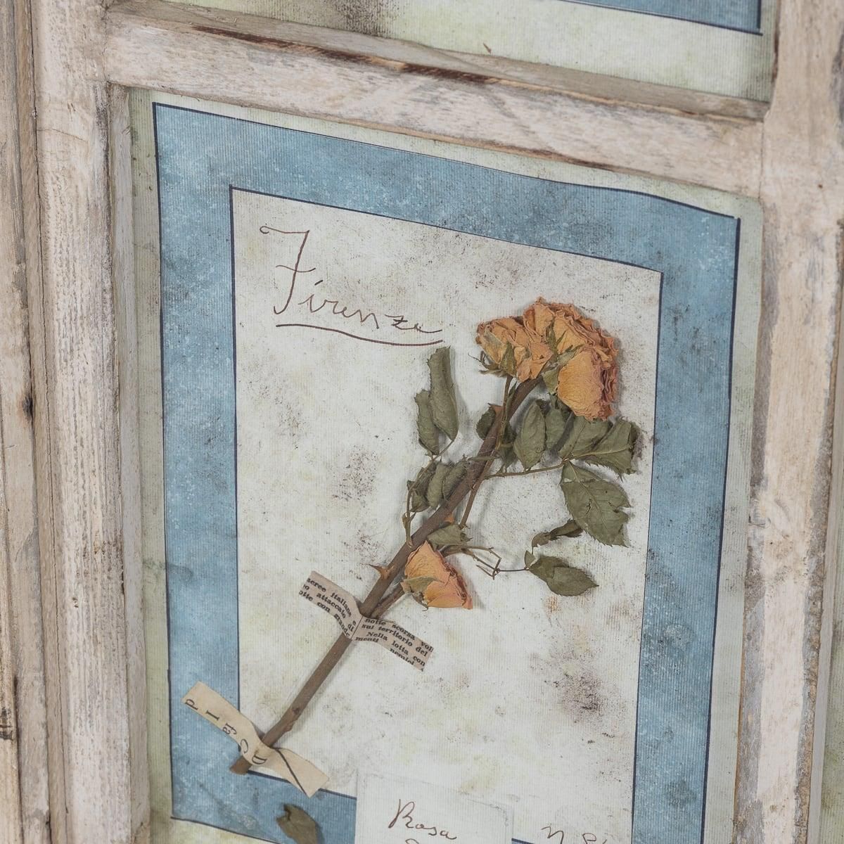 photo vinterior 20th Century Italian Large Oak Frame Containing Pressed Flowers & Herbs