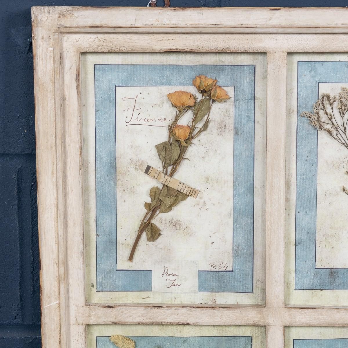 20th Century Italian Large Oak Frame Containing Pressed Flowers & Herbs photo Art