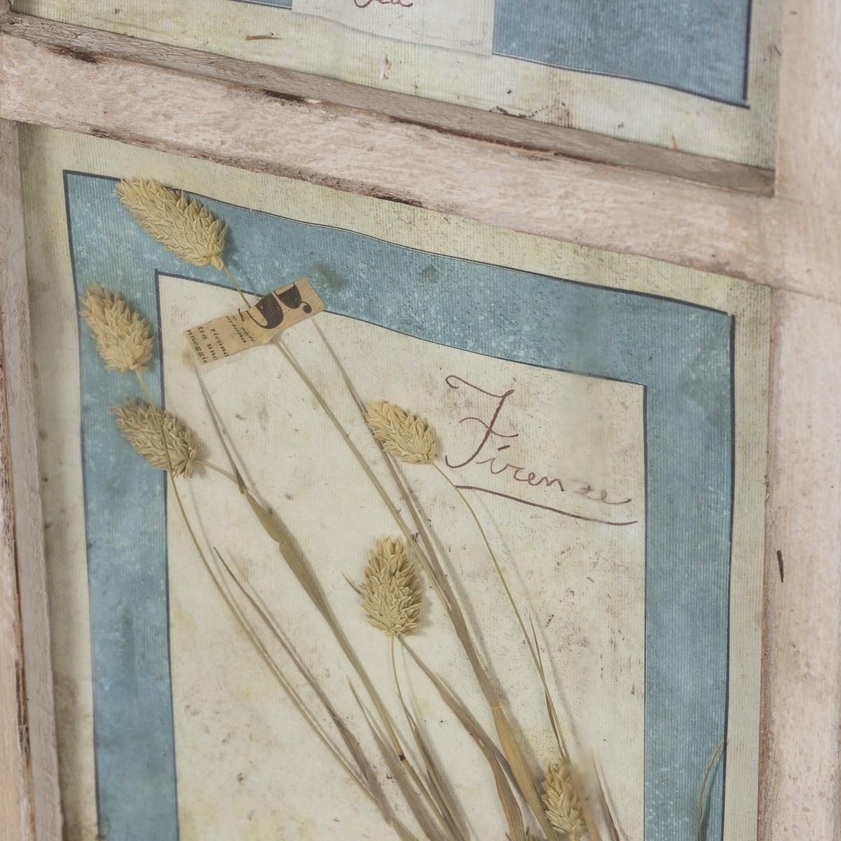 photo vintage 20th Century Italian Large Oak Frame Containing Pressed Flowers & Herbs