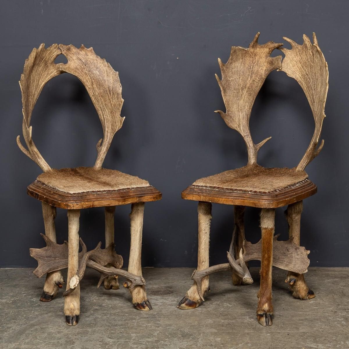 Antique 20th Century Austrian Pair Of Deer Antler Hall Chairs C.1900 photo furniture