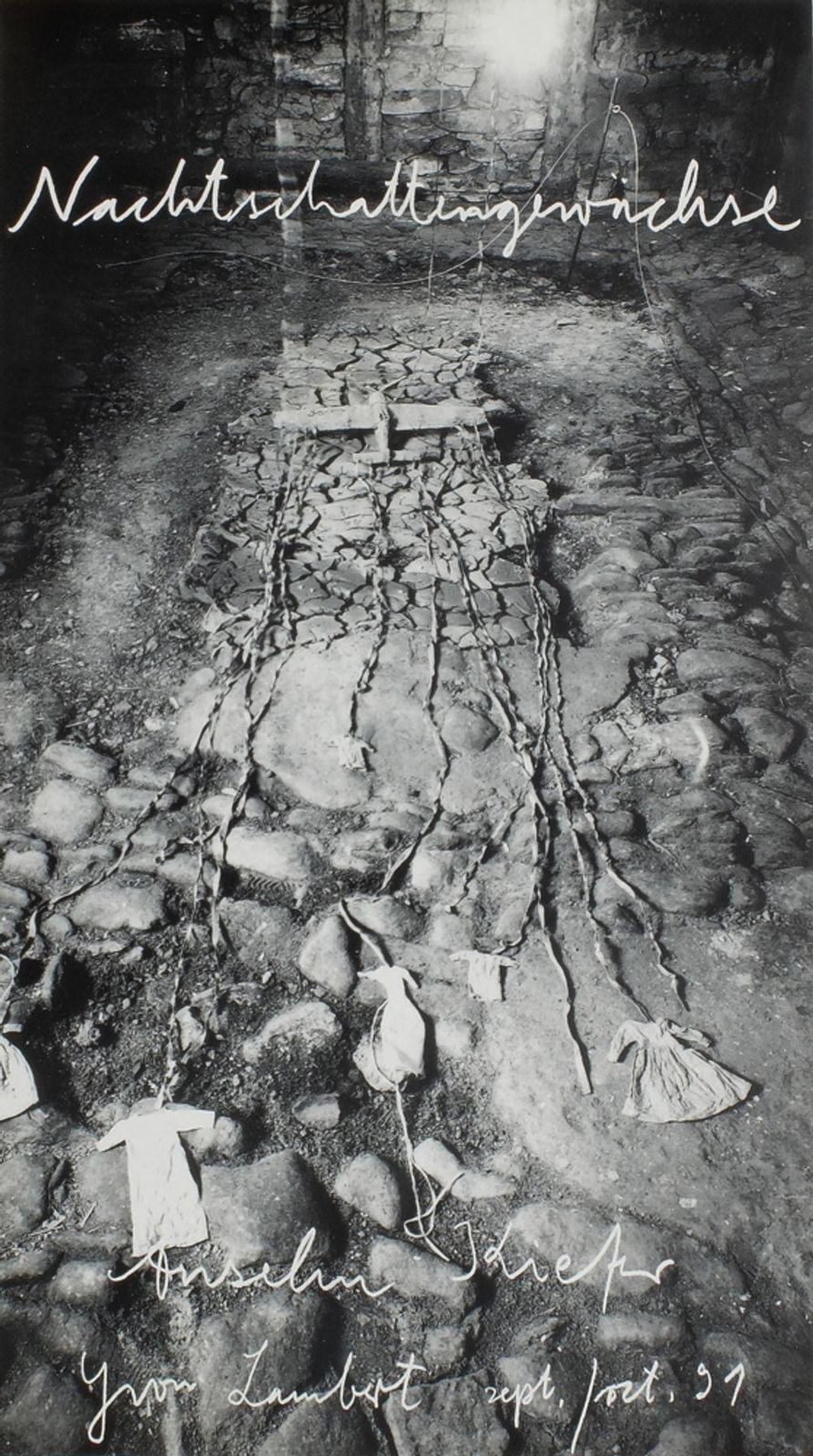 1991 Anselm Kiefer Nachtschattengewächse Exhibition Poster photo furniture