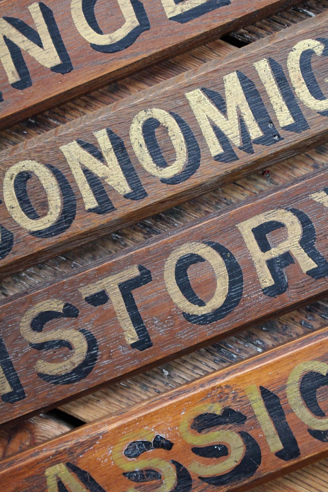 612.0 Early 20th C School Classroom Plaques Classics, English, History & Economics photo