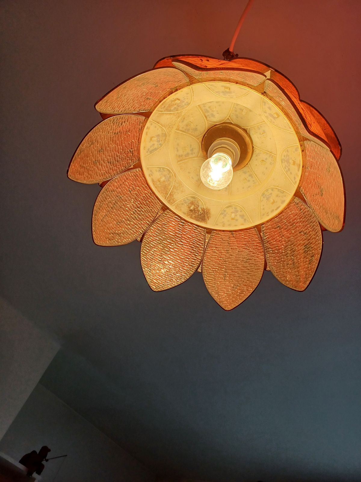 Vintage Transparent Brown Plastic Pendant Lamp photo furniture