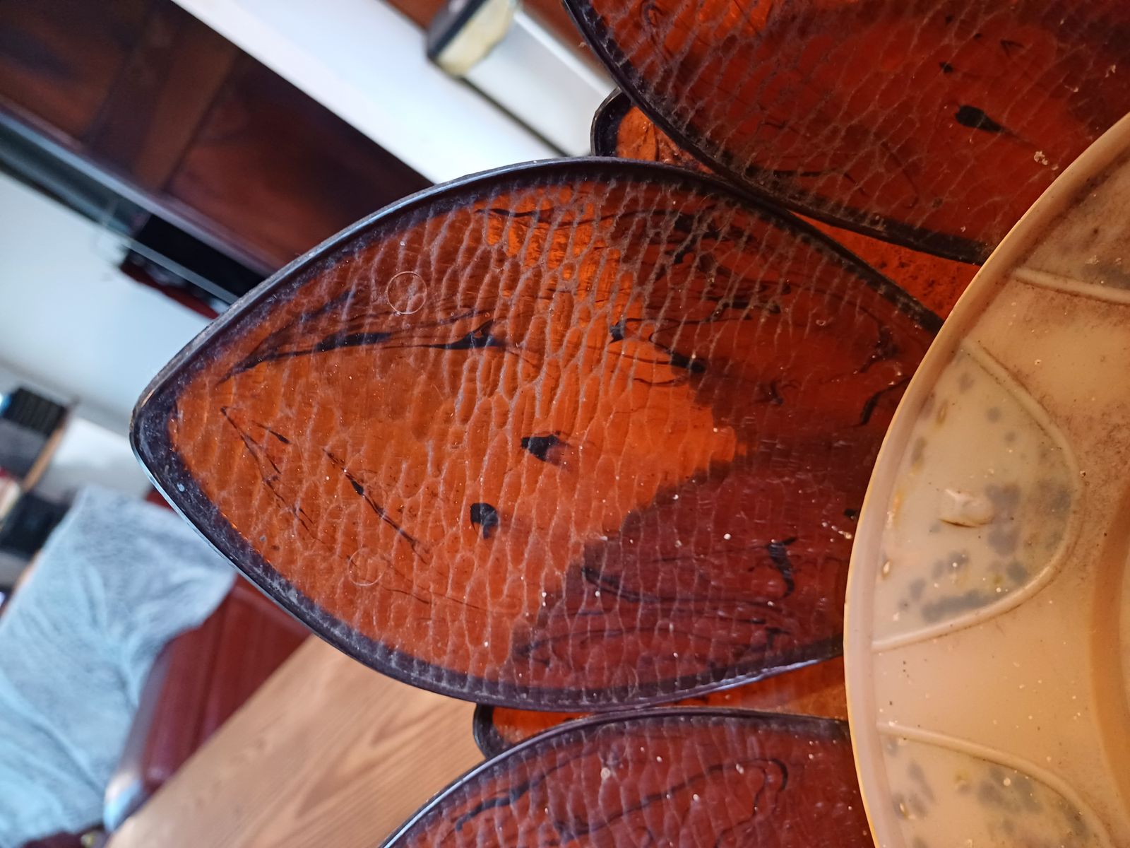 photo for sale Vintage Transparent Brown Plastic Pendant Lamp