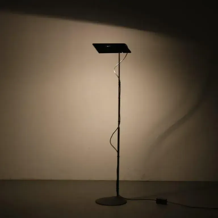 1970s “Duna” Floor Lamp By Marco Colombo & Mario Barbaglia For Paf Studio, Italy photo 439.0