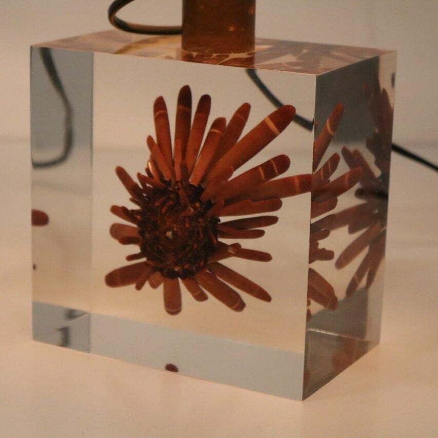 Pierre Giraudon Resin With Coral Table Lamp, France 1970 photo 1414.0