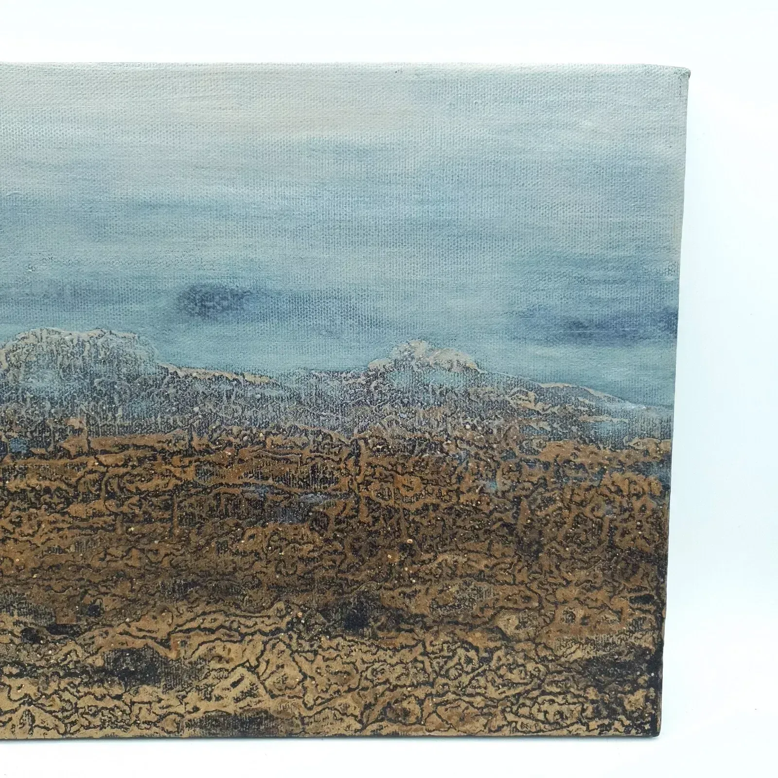 Signed Karen Picton Mud On Canvas Original Painting Dartmoor Earth Land Inspired photo Art
