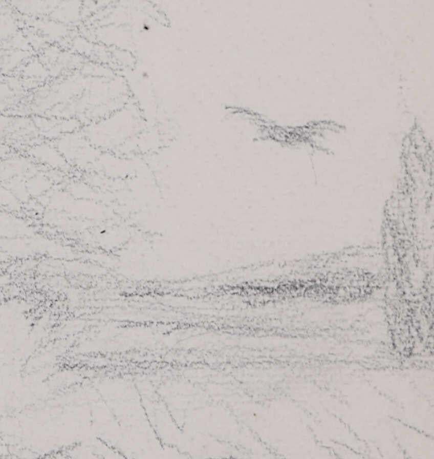 Country Lane With Bird Of Prey, Pencil Sketch By George Bissill photo furniture