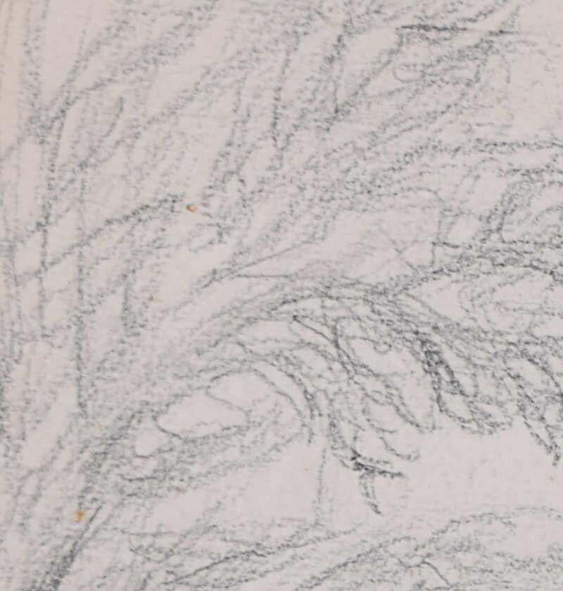 Country Lane With Bird Of Prey, Pencil Sketch By George Bissill photo for sale