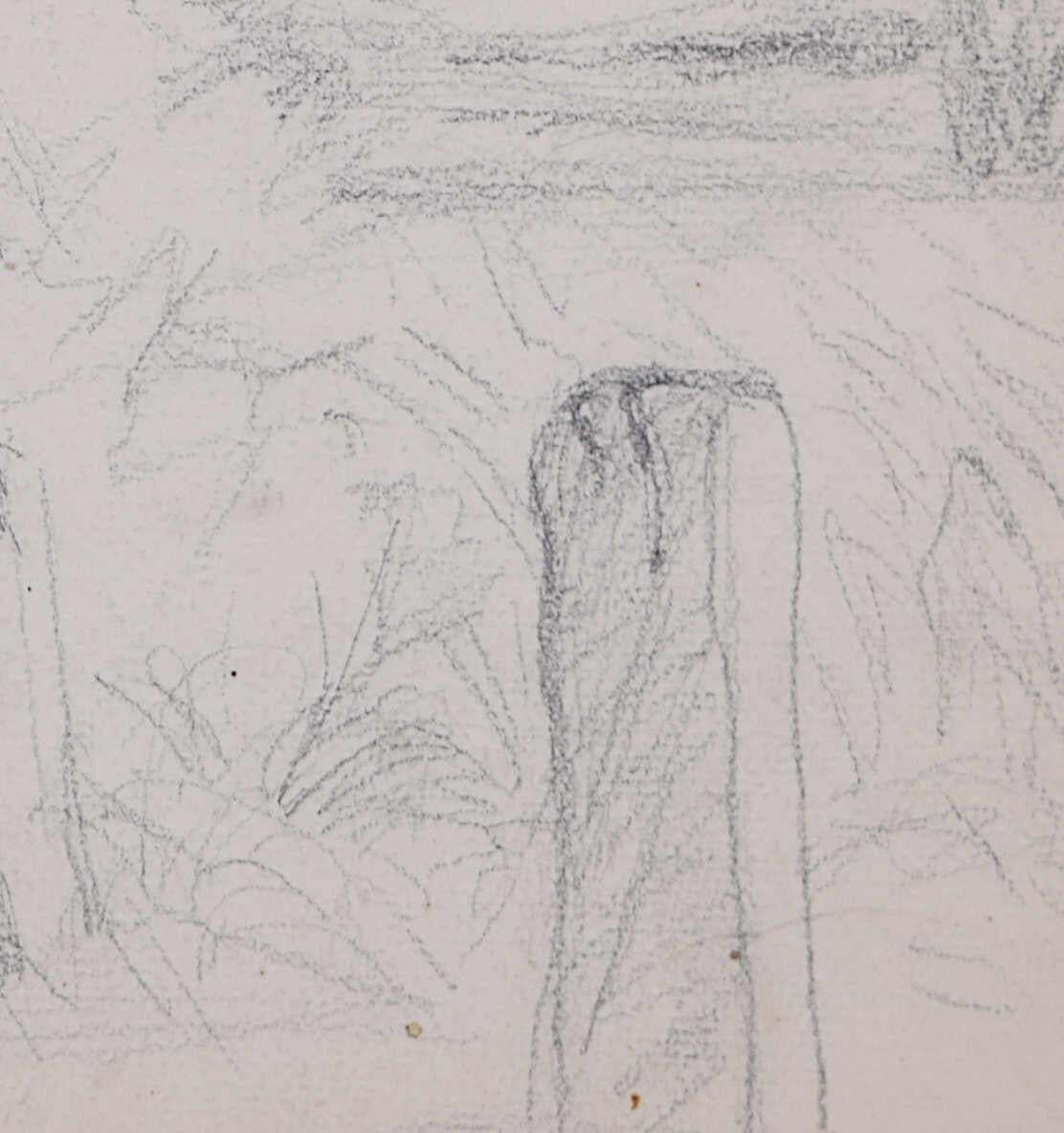 Country Lane With Bird Of Prey, Pencil Sketch By George Bissill photo 214.0