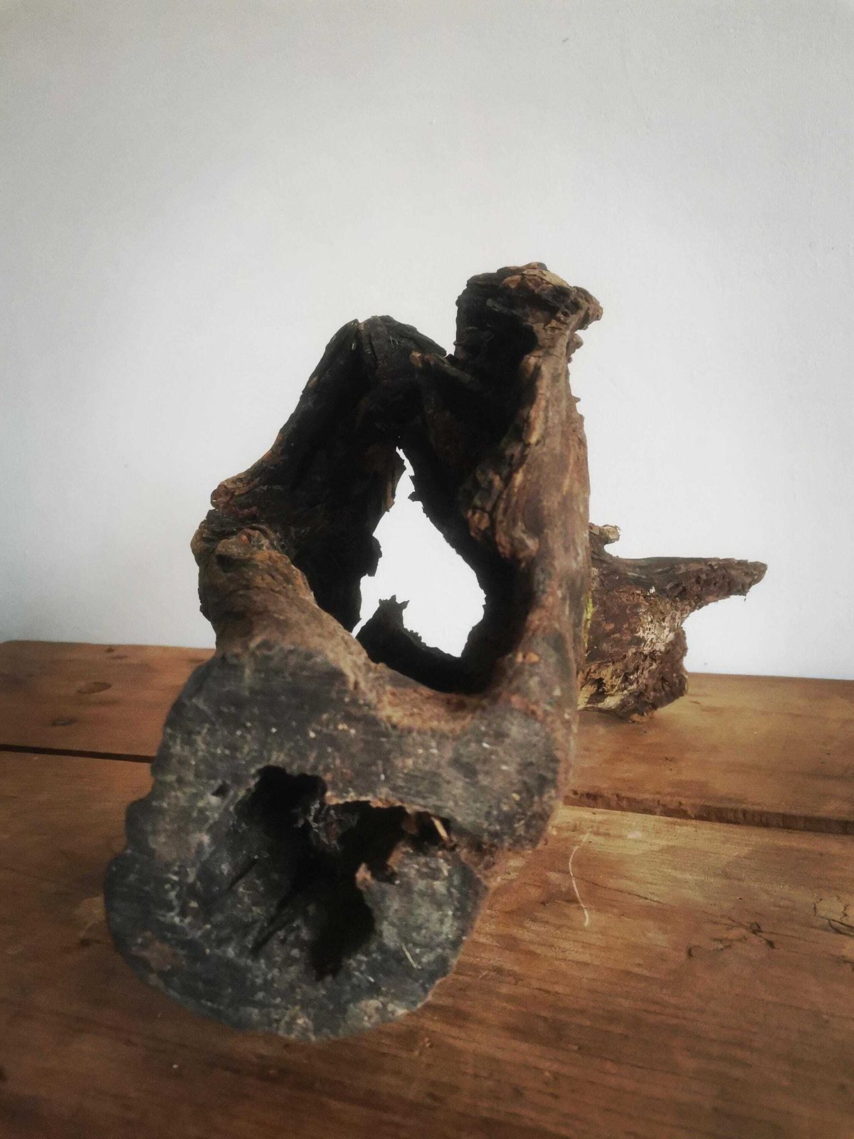 Wildcrafted Oak Driftwood Sculpture Naturally Formed Art From Zselic Starry Skies Forest, Hungary. Aged Wood, Stunning, Cow, Donkey photo Art