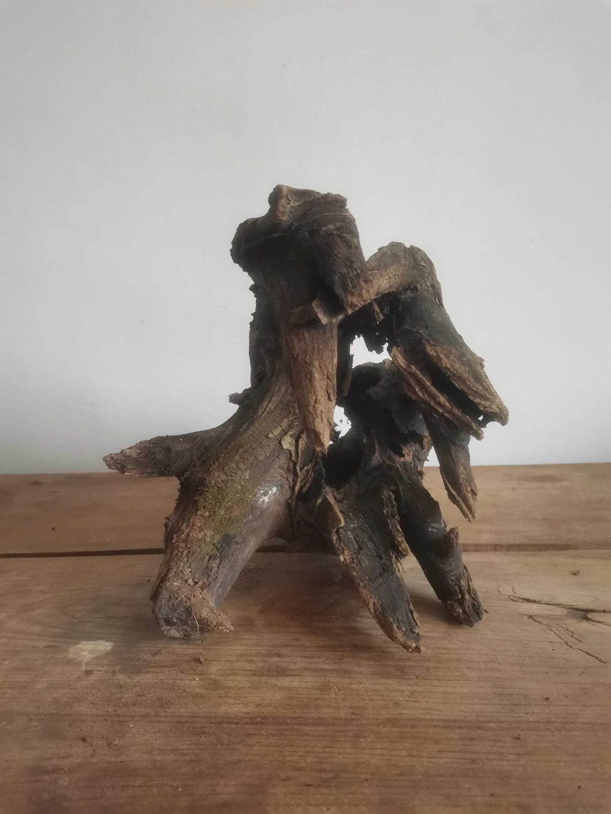 Wildcrafted Oak Driftwood Sculpture Naturally Formed Art From Zselic Starry Skies Forest, Hungary. Aged Wood, Stunning, Cow, Donkey photo vinterior
