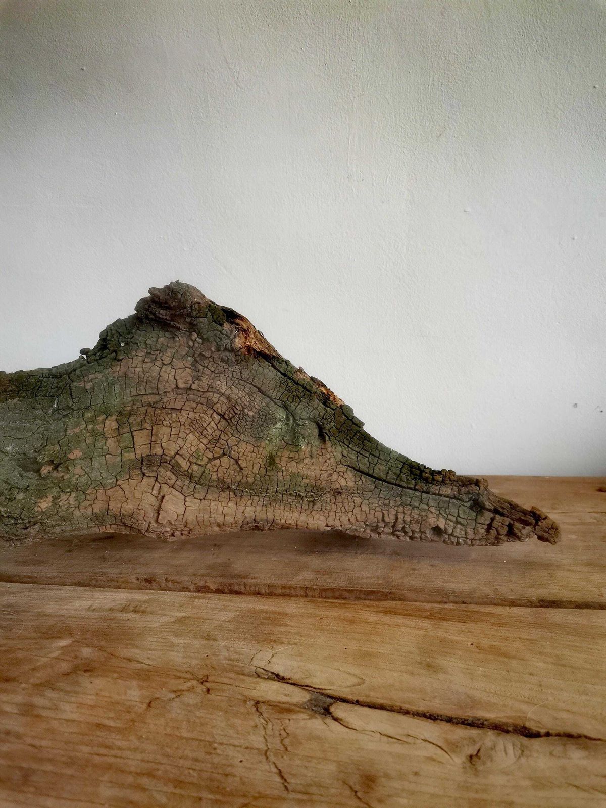 Wildcrafted Oak Driftwood Sculpture Naturally Formed Art From Zselic Starry Skies Forest, Hungary. Aged Wood, Stunning, Wild Boar & Reptile photo vinterior