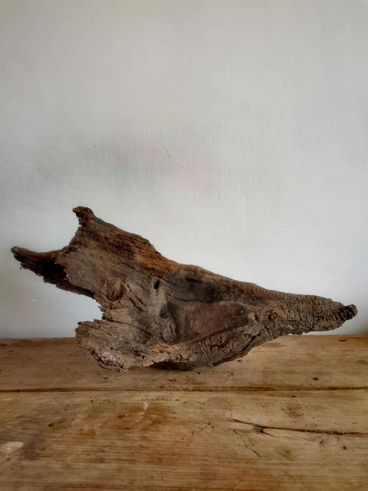 Wildcrafted Oak Driftwood Sculpture Naturally Formed Art From Zselic Starry Skies Forest, Hungary. Aged Wood, Stunning, Wild Boar & Reptile photo vintage
