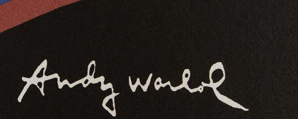 1986 Carnegie Museum Of Art After Andy Warhol "The Witch" Lithograph photo furniture