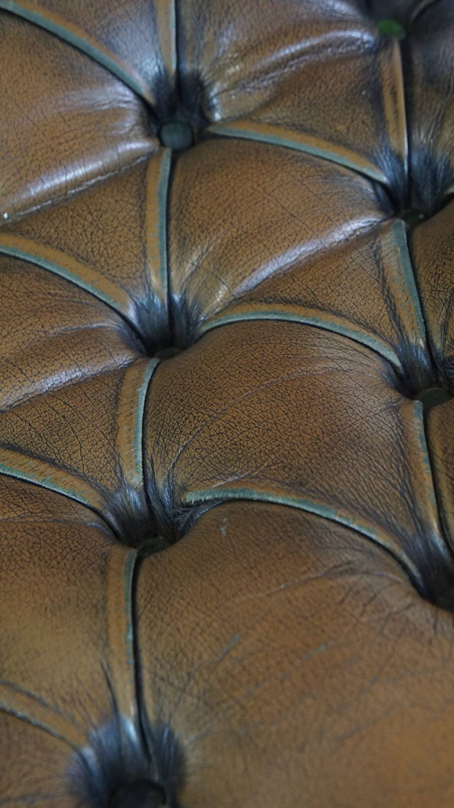 photo furniture Graceful And Characterful Green Vintage Cowhide English Chesterfield Armchair Combined With Wood