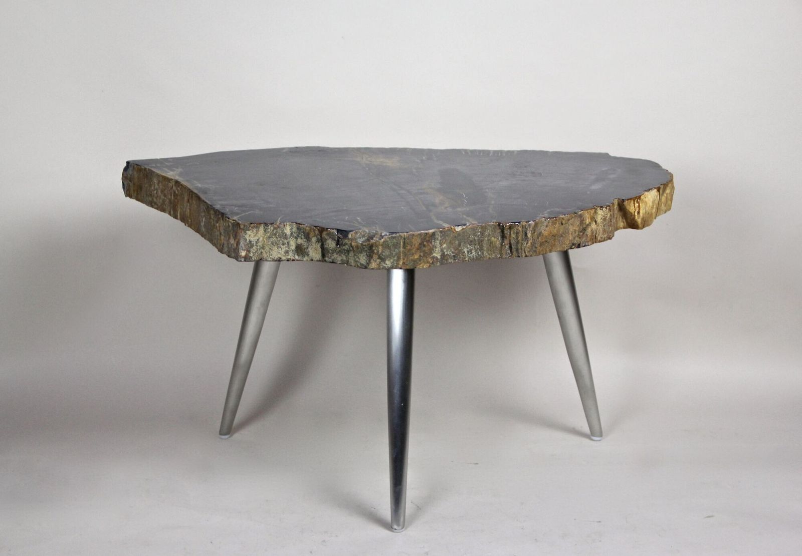 photo furniture Petrified Wood Side Table With Stainless Steel Feet, Organic Modern, Idn 2021