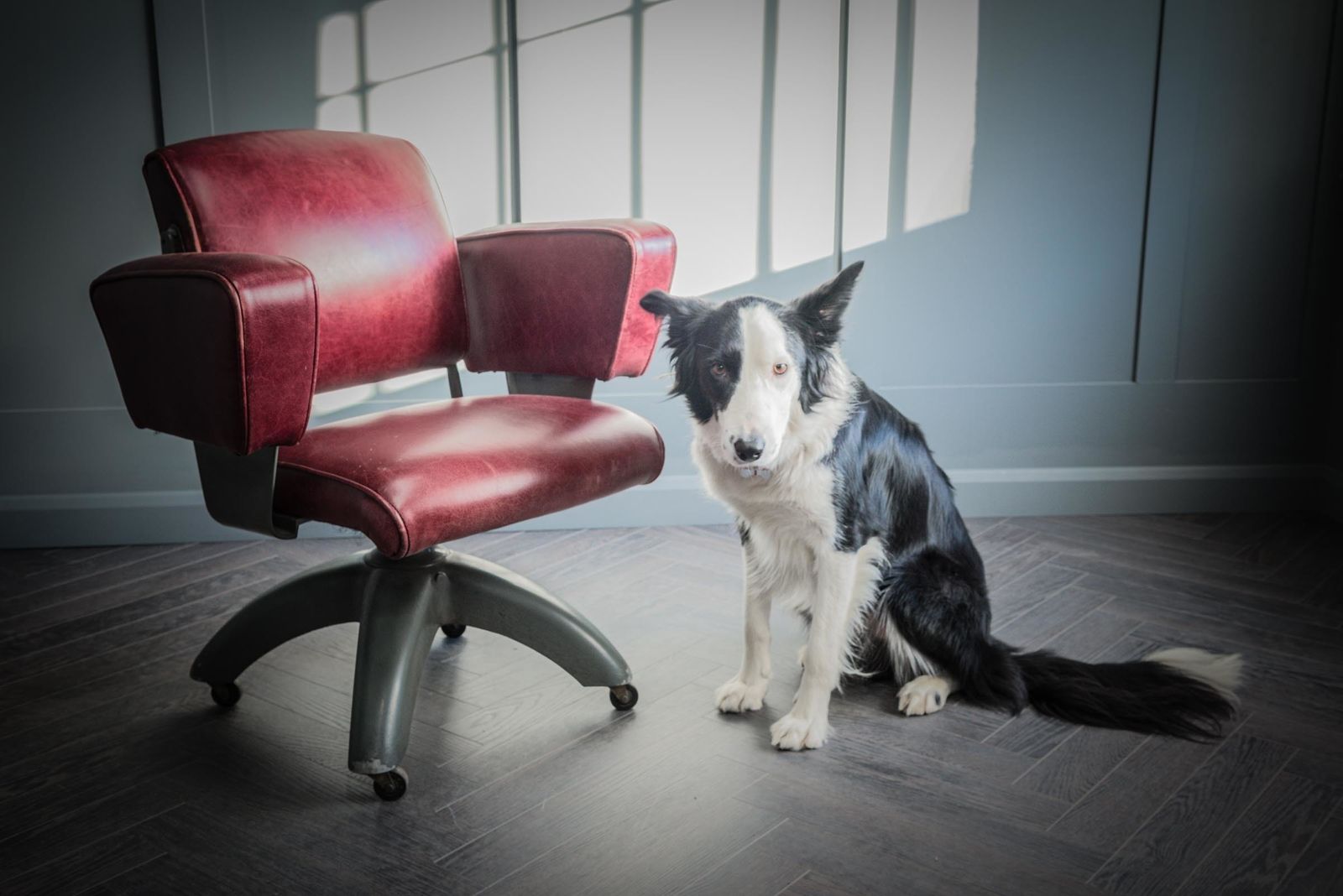 Furniture Tansad De Luxe V.26 Red Leather Office Chair photo