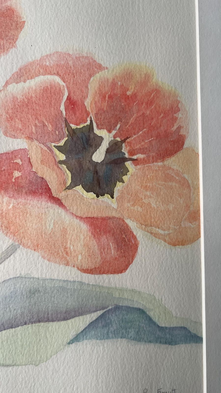 Ron Flewitt Watercolour Painting Of Poppies – Framed & Glazed Floral Artwork photo 139.0