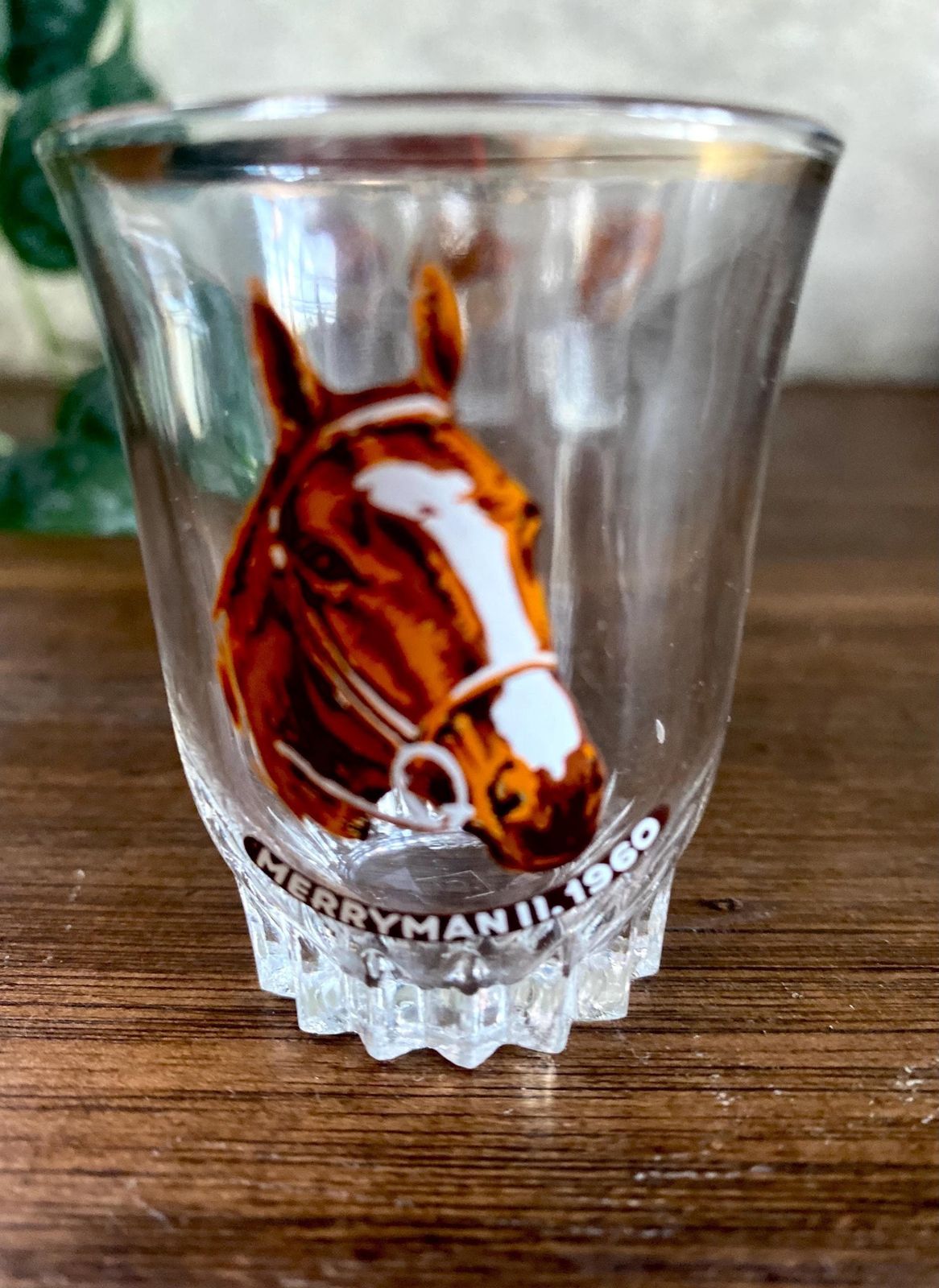 Vintage Horses Shot Glasses | Set Of 4 | Grand National Winners | Vintage Barware | New Home Gift | Wedding Gift. photo 56.0
