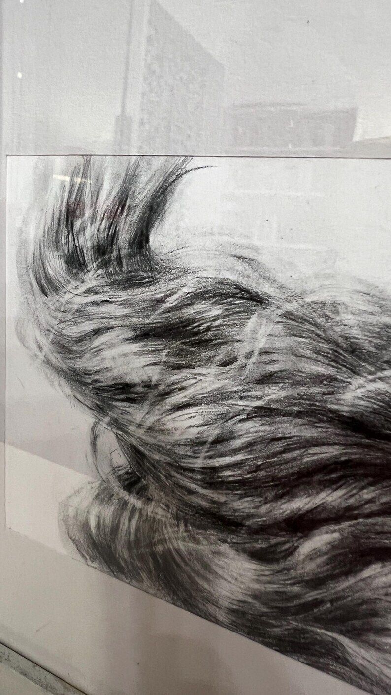 Contemporary Pencil Drawing Of Flowing Hair, Framed And Glazed photo vinterior
