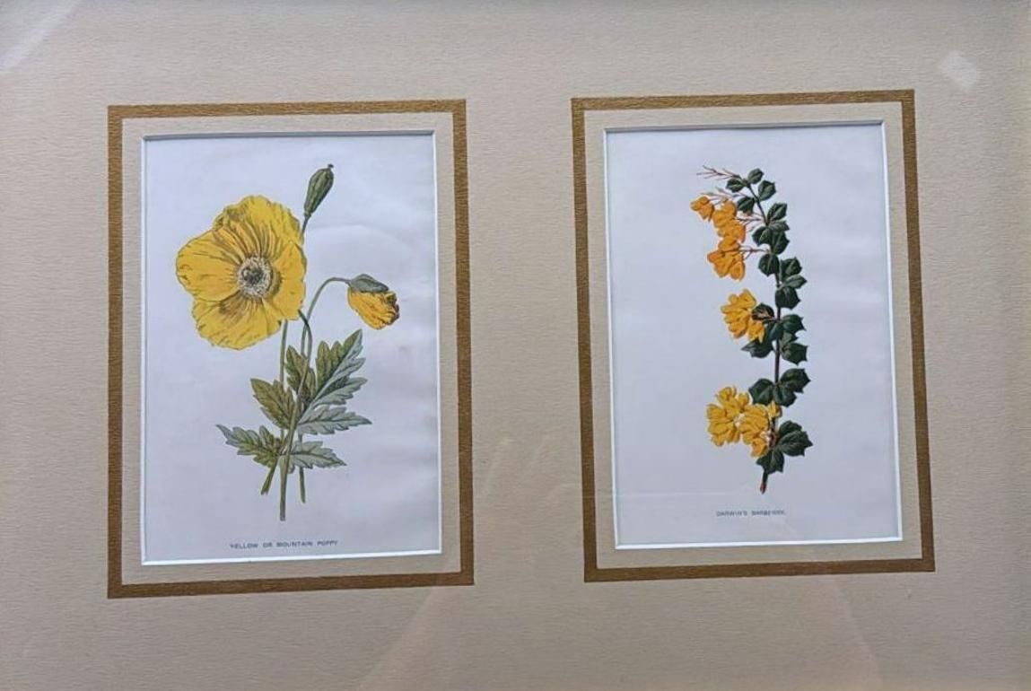 Italian Frame With Mirrors And English Chromolithographic Prints Of Flowers   05 photo for sale