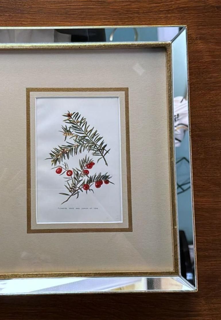 Italian Mirror Frame With English Chromolithographic Floral Prints   04 photo 380.0