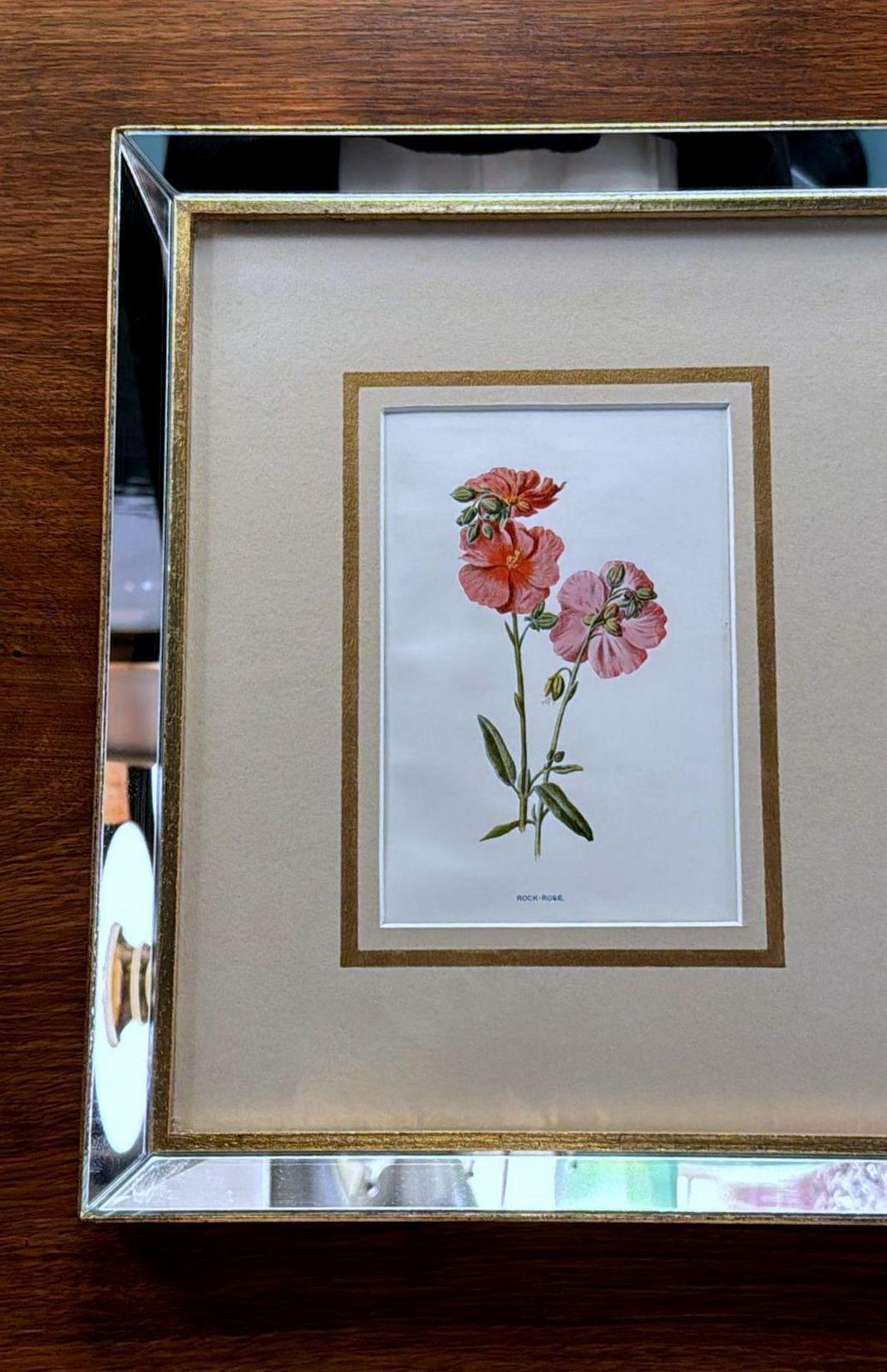 Italian Mirror Frame With English Chromolithographic Floral Prints   03 photo Art