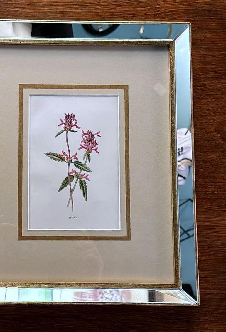 Italian Mirror Frame With English Chromolithographic Floral Prints   03 photo 380.0