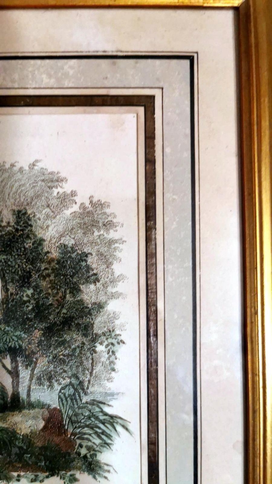 photo for sale Nargeol Adrien Pair Prints Painted Watercolor With Gilded Frames