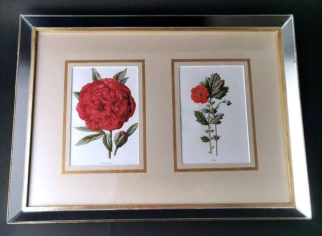 Italian Mirror Frame With English Chromolithographic Floral Prints  06 photo for sale