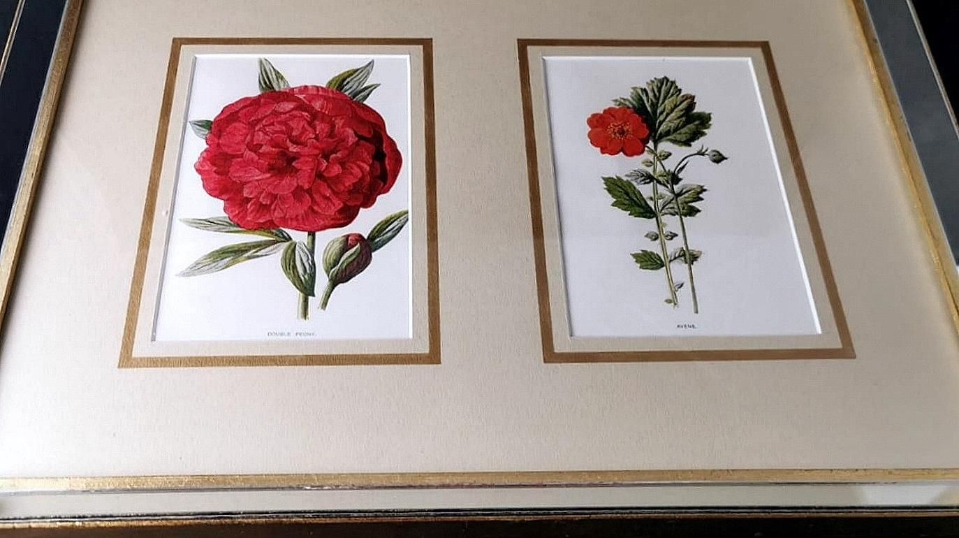 Italian Mirror Frame With English Chromolithographic Floral Prints  06 photo 380.0