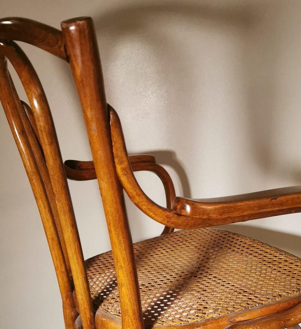 Furniture Thonet Gebruder Vienna Gmbh No.56 Bentwood And Vienna Straw Chair photo