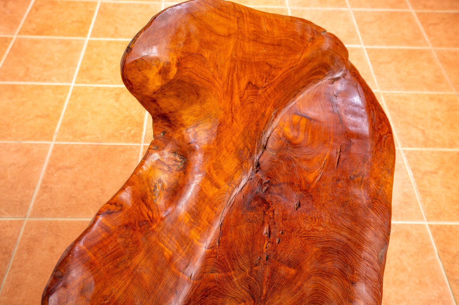 Furniture Sculptural Statement Bench Teak Root Natural Organic Artistic Wooden Rustic Vintag.E Minimalis.T Abstract Mid Century Mcm photo