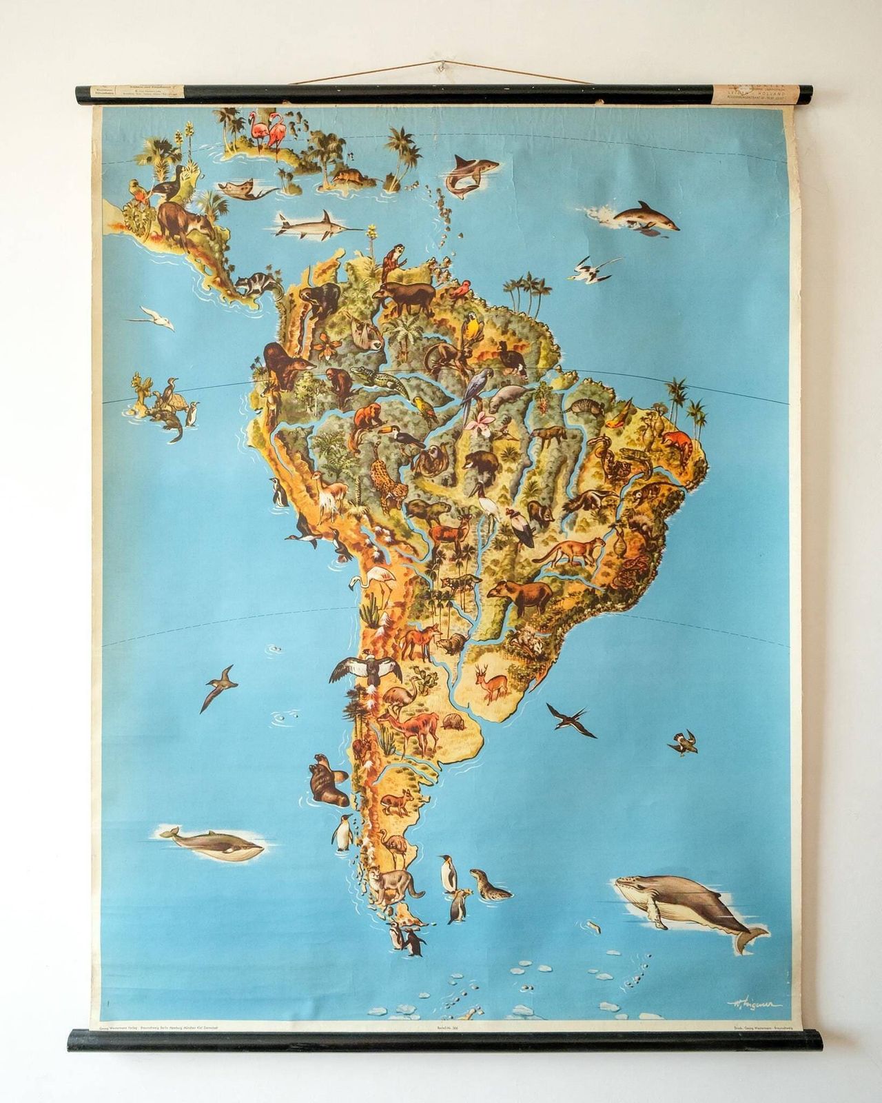 Original Vintage Mid Century German Educational School Wall Chart South America Map Wildlife Quirky Geography Beautiful Rare Westermann