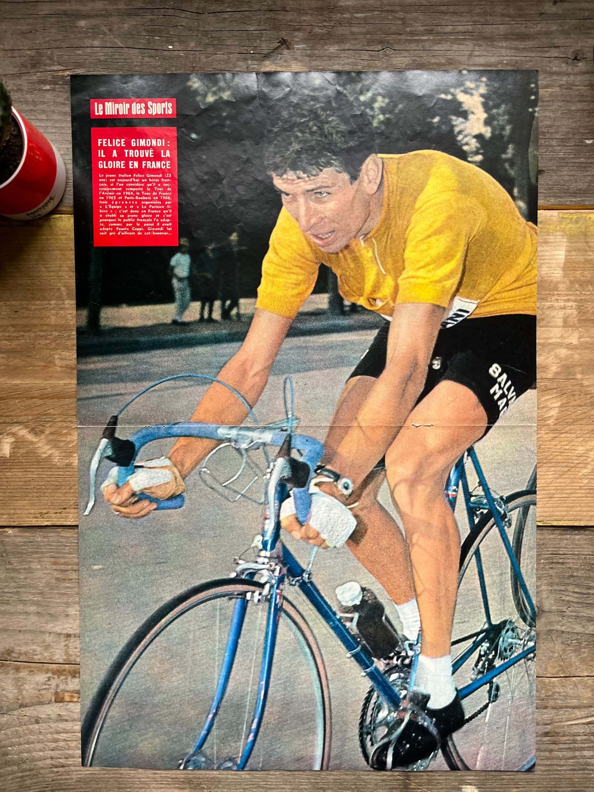 Felice Gimondi Vintage Cycling Poster   1966