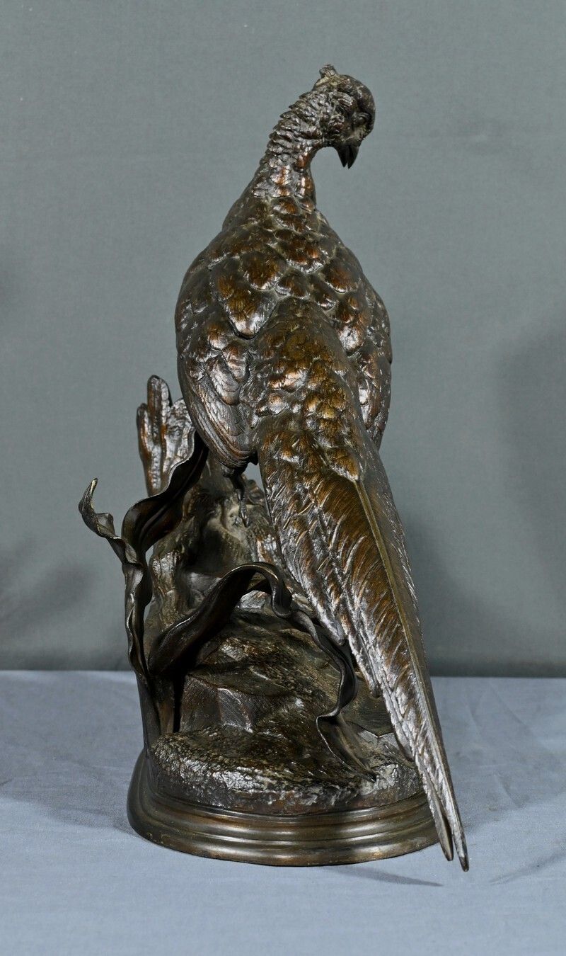 photo vintage Bronze "The Pheasant And The Belet" By J. Moigniez   End Of 19th