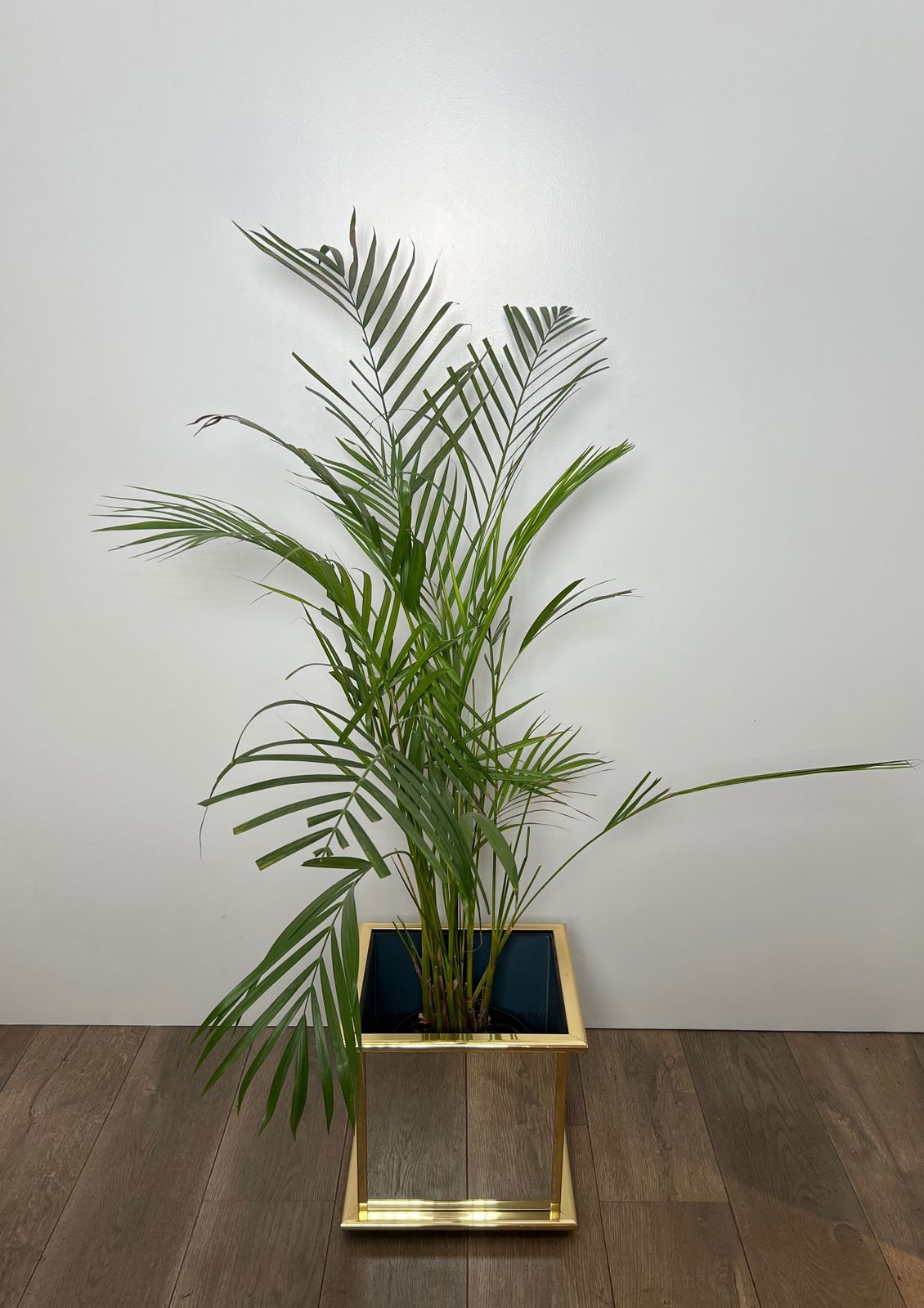 680.0 Mirrored And Gold Metal Planter photo