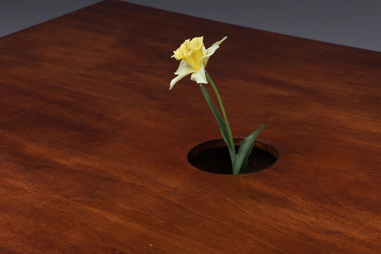 Office Nutshell By Deborah Bowmann, Belgium, 2022 photo vinterior