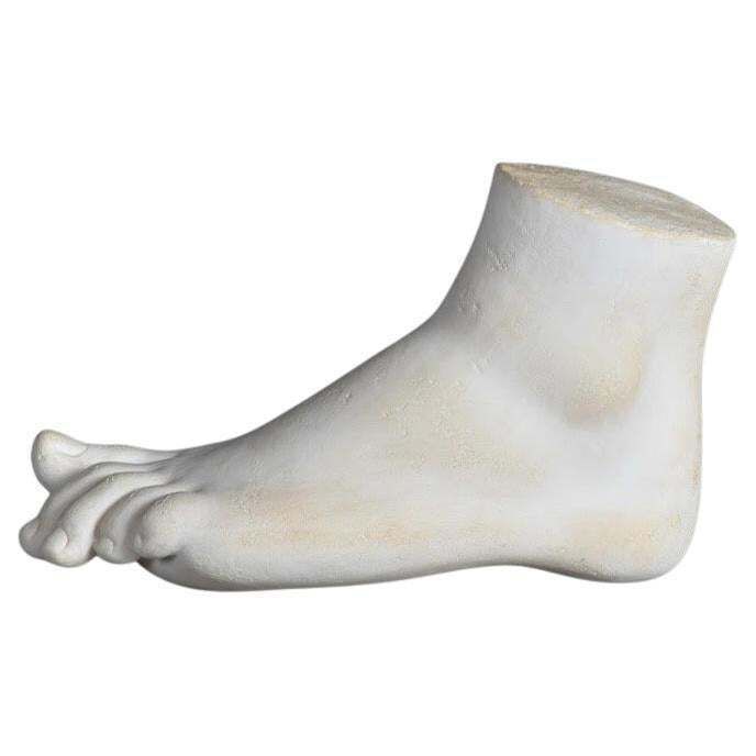 Plaster Sculpture Of The Pied De Diane.