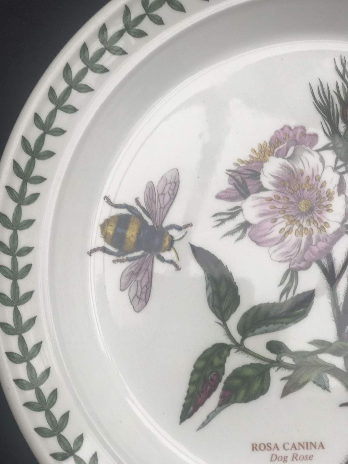 Portmeirion Botanica Salad Plate 70s Botanic Garden Entremets Dessert Plate Rosa Canina Dog Rose Made In England China Replacement Spare photo 93.0