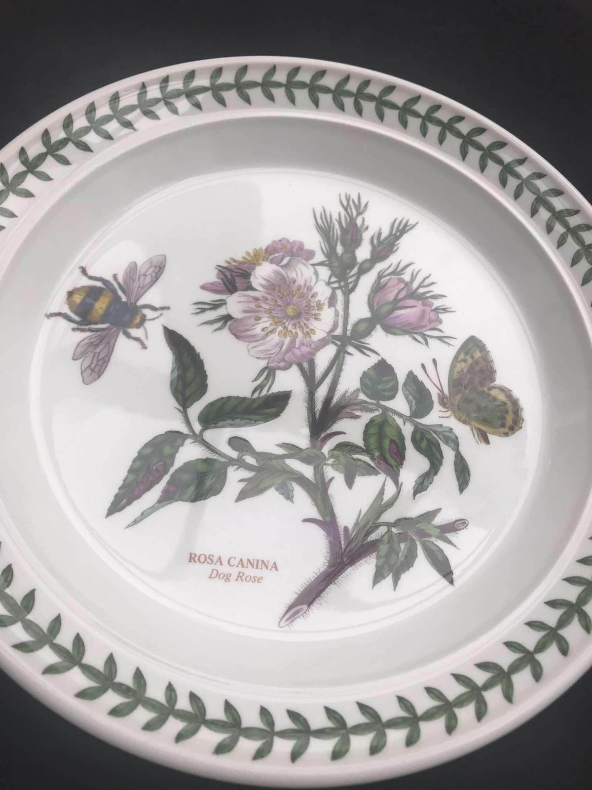 Portmeirion Botanica Salad Plate 70s Botanic Garden Entremets Dessert Plate Rosa Canina Dog Rose Made In England China Replacement Spare photo vintage