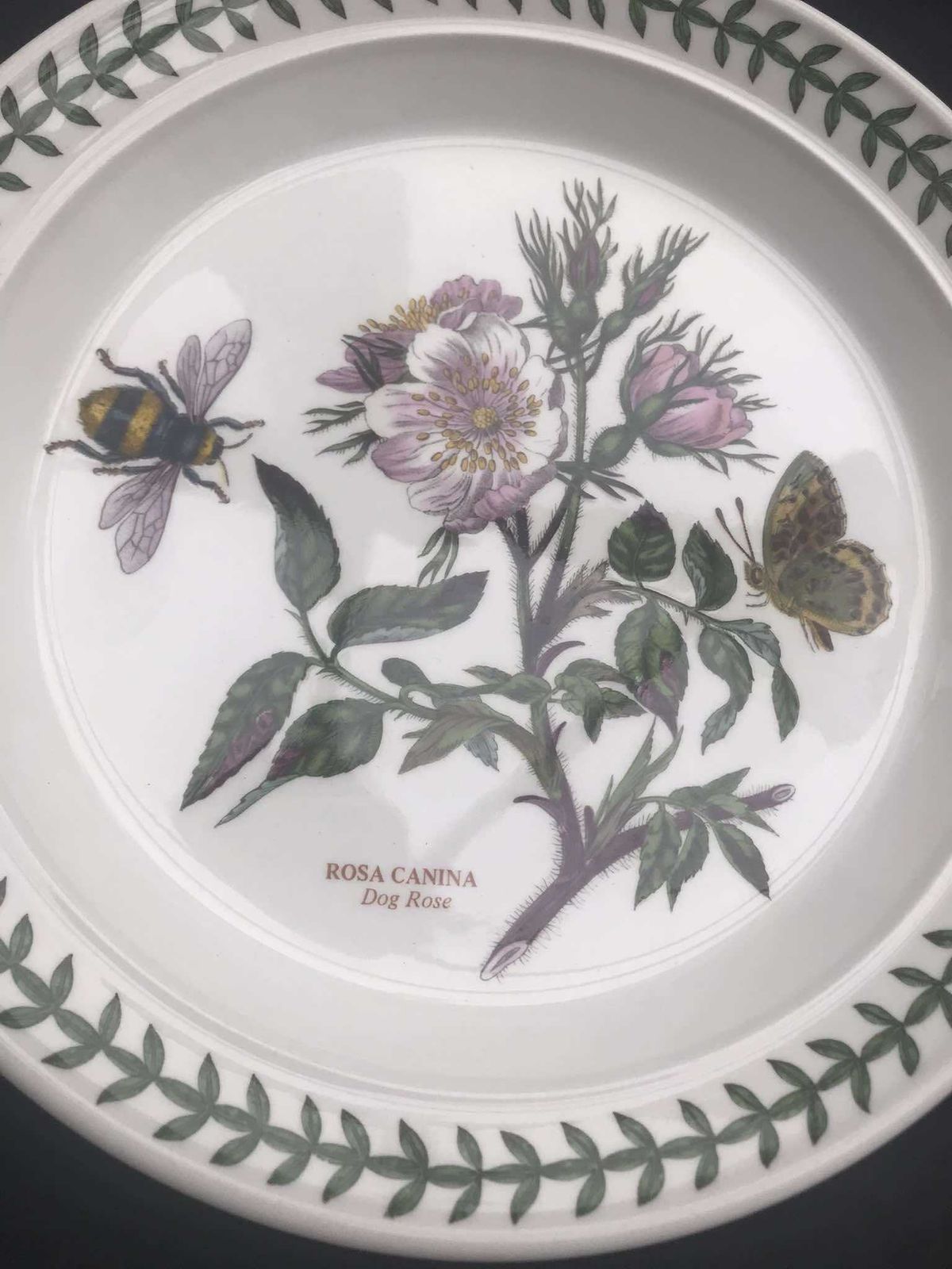 photo furniture Portmeirion Botanica Salad Plate 70s Botanic Garden Entremets Dessert Plate Rosa Canina Dog Rose Made In England China Replacement Spare
