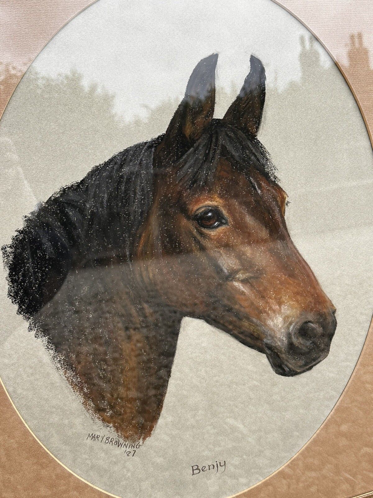 Mary Browning Original Signed Pastel Art  Benjy The Horse 63cm By 52.5cm photo Art